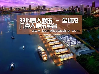 案例展示八