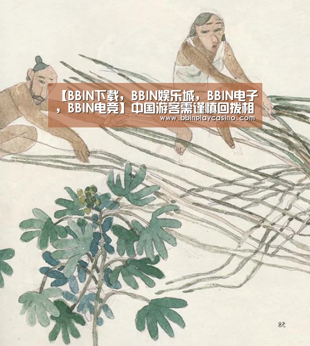 【BBIN下载，BBIN娱乐城，BBIN电子，BBIN电竞】中国游客需谨慎回拨相